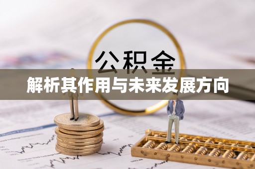 綦江解析其作用与未来发展方向