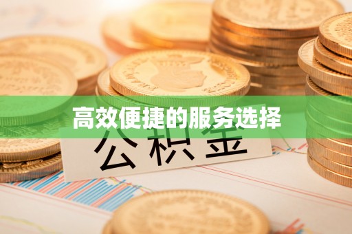 綦江高效便捷的服务选择